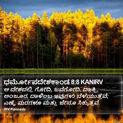 ಧರ್ಮೋಪದೇಶಕಾಂಡ 8:8 KANIRV Bible Verse Image