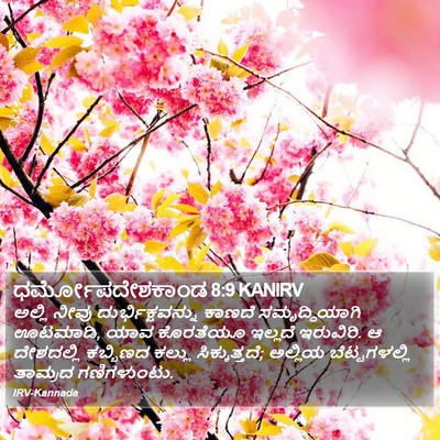 ಧರ್ಮೋಪದೇಶಕಾಂಡ 8:9 KANIRV Bible Verse Image