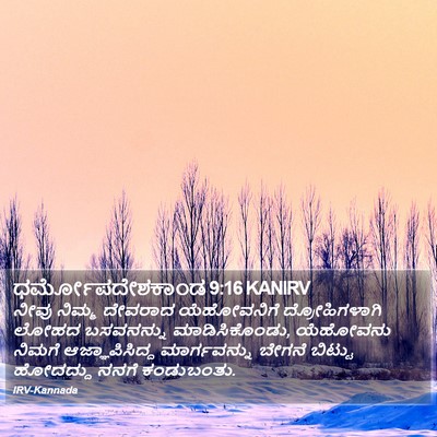ಧರ್ಮೋಪದೇಶಕಾಂಡ 9:16 KANIRV Bible Verse Image
