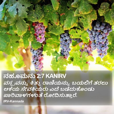 ನಹೂಮನು 2:7 KANIRV Bible Verse Image
