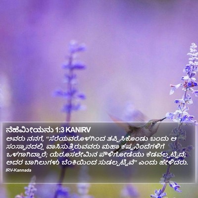 ನೆಹೆಮೀಯನು 1:3 KANIRV Bible Verse Image