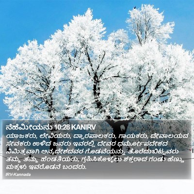ನೆಹೆಮೀಯನು 10:28 KANIRV Bible Verse Image