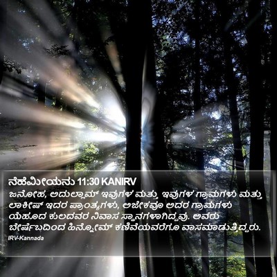 ನೆಹೆಮೀಯನು 11:30 KANIRV Bible Verse Image