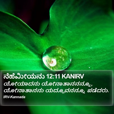 ನೆಹೆಮೀಯನು 12:11 KANIRV Bible Verse Image