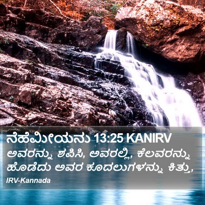 ನೆಹೆಮೀಯನು 13:25 KANIRV Bible Verse Image