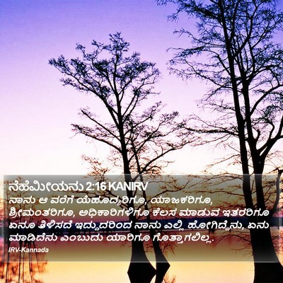 ನೆಹೆಮೀಯನು 2:16 KANIRV Bible Verse Image