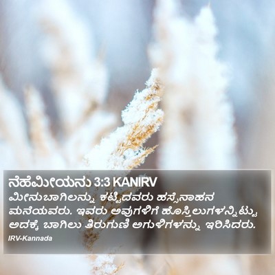 ನೆಹೆಮೀಯನು 3:3 KANIRV Bible Verse Image