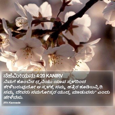ನೆಹೆಮೀಯನು 4:20 KANIRV Bible Verse Image