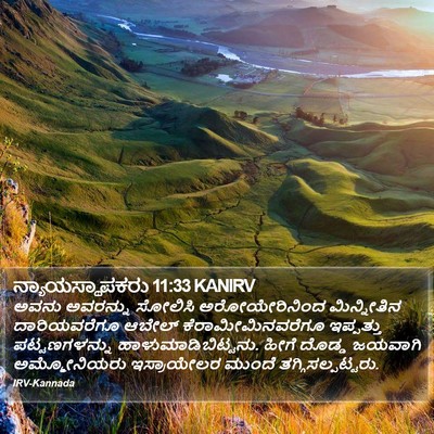 ನ್ಯಾಯಸ್ಥಾಪಕರು 11:33 KANIRV Bible Verse Image