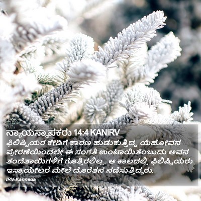 ನ್ಯಾಯಸ್ಥಾಪಕರು 14:4 KANIRV Bible Verse Image