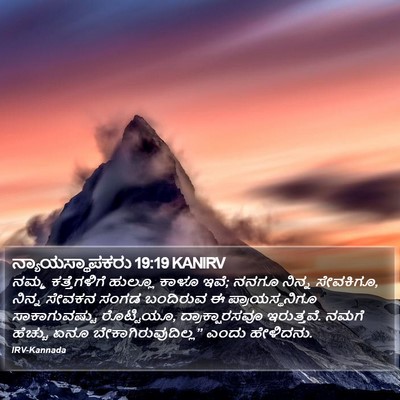 ನ್ಯಾಯಸ್ಥಾಪಕರು 19:19 KANIRV Bible Verse Image