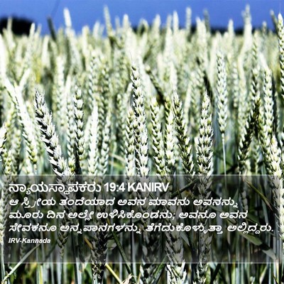 ನ್ಯಾಯಸ್ಥಾಪಕರು 19:4 KANIRV Bible Verse Image