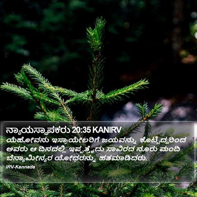 ನ್ಯಾಯಸ್ಥಾಪಕರು 20:35 KANIRV Bible Verse Image