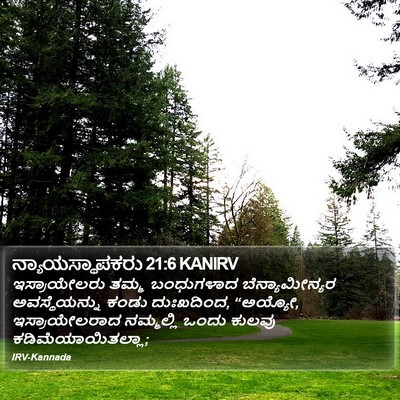 ನ್ಯಾಯಸ್ಥಾಪಕರು 21:6 KANIRV Bible Verse Image