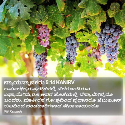 ನ್ಯಾಯಸ್ಥಾಪಕರು 5:14 KANIRV Bible Verse Image