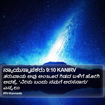 ನ್ಯಾಯಸ್ಥಾಪಕರು 9:10 KANIRV Bible Verse Image