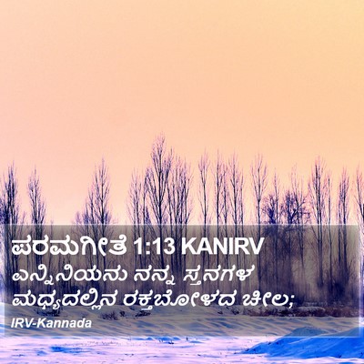 ಪರಮಗೀತೆ 1:13 KANIRV Bible Verse Image