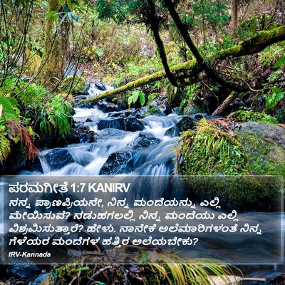 ಪರಮಗೀತೆ 1:7 KANIRV Bible Verse Image
