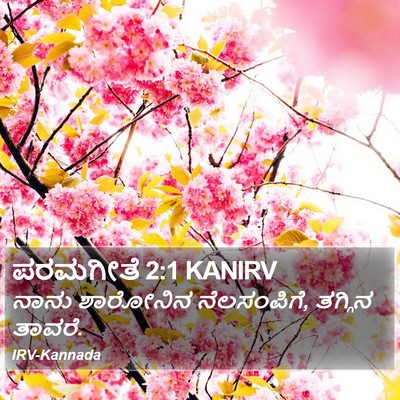 ಪರಮಗೀತೆ 2:1 KANIRV Bible Verse Image