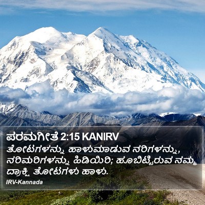 ಪರಮಗೀತೆ 2:15 KANIRV Bible Verse Image