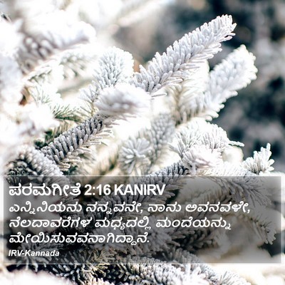 ಪರಮಗೀತೆ 2:16 KANIRV Bible Verse Image
