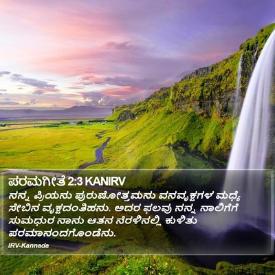 ಪರಮಗೀತೆ 2:3 KANIRV Bible Verse Image
