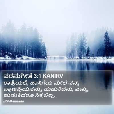 ಪರಮಗೀತೆ 3:1 KANIRV Bible Verse Image