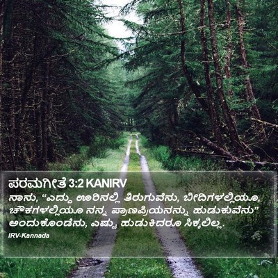 ಪರಮಗೀತೆ 3:2 KANIRV Bible Verse Image