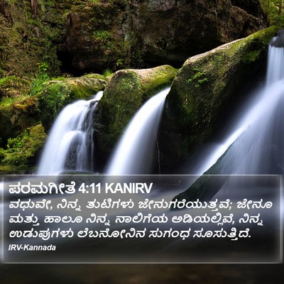 ಪರಮಗೀತೆ 4:11 KANIRV Bible Verse Image