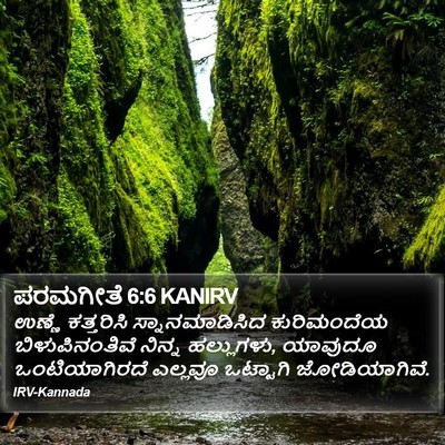 ಪರಮಗೀತೆ 6:6 KANIRV Bible Verse Image