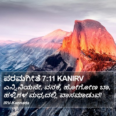 ಪರಮಗೀತೆ 7:11 KANIRV Bible Verse Image