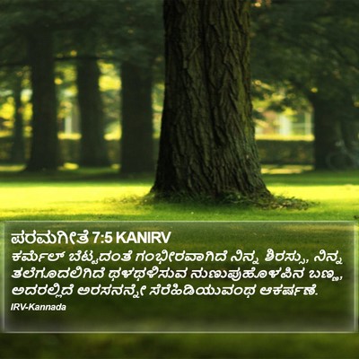 ಪರಮಗೀತೆ 7:5 KANIRV Bible Verse Image