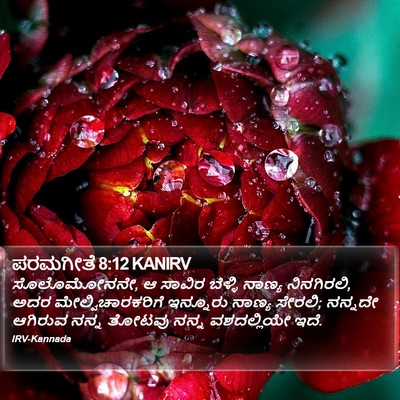 ಪರಮಗೀತೆ 8:12 KANIRV Bible Verse Image