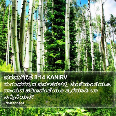 ಪರಮಗೀತೆ 8:14 KANIRV Bible Verse Image