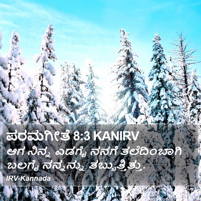 ಪರಮಗೀತೆ 8:3 KANIRV Bible Verse Image