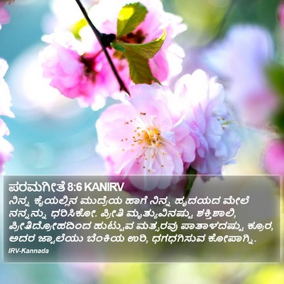 ಪರಮಗೀತೆ 8:6 KANIRV Bible Verse Image
