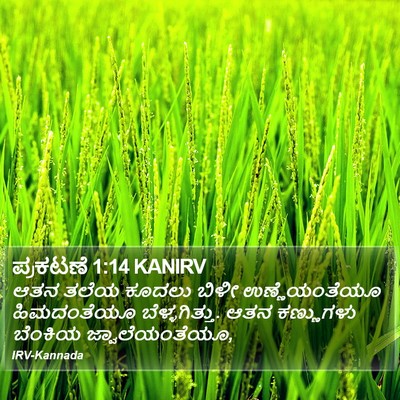 ಪ್ರಕಟಣೆ 1:14 KANIRV Bible Verse Image