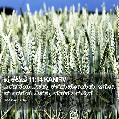 ಪ್ರಕಟಣೆ 11:14 KANIRV Bible Verse Image