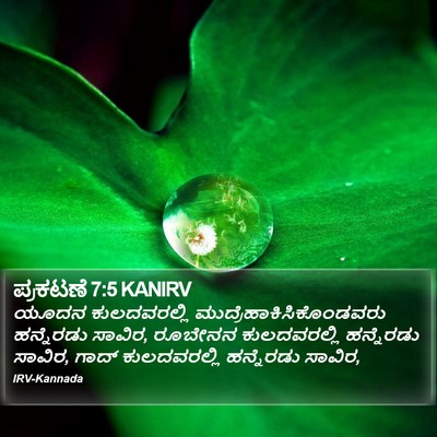 ಪ್ರಕಟಣೆ 7:5 KANIRV Bible Verse Image