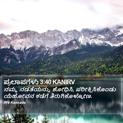 ಪ್ರಲಾಪಗಳು 3:40 KANIRV Bible Verse Image
