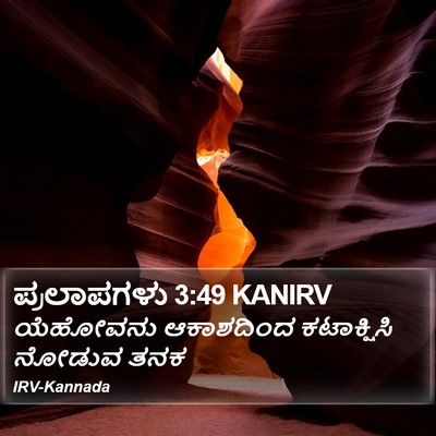 ಪ್ರಲಾಪಗಳು 3:49 KANIRV Bible Verse Image