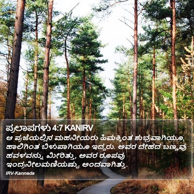 ಪ್ರಲಾಪಗಳು 4:7 KANIRV Bible Verse Image