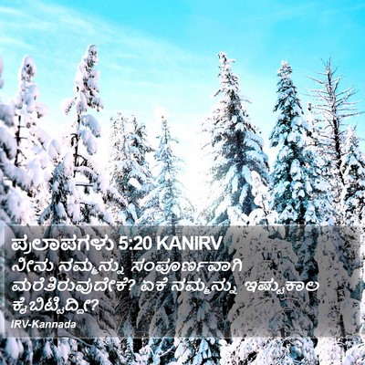 ಪ್ರಲಾಪಗಳು 5:20 KANIRV Bible Verse Image
