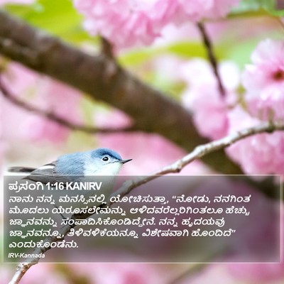 ಪ್ರಸಂಗಿ 1:16 KANIRV Bible Verse Image