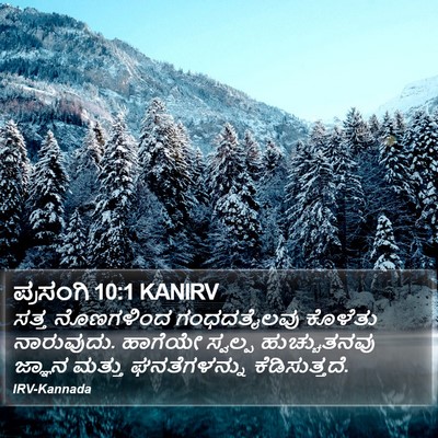 ಪ್ರಸಂಗಿ 10:1 KANIRV Bible Verse Image