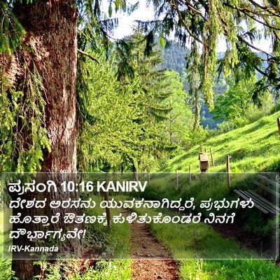 ಪ್ರಸಂಗಿ 10:16 KANIRV Bible Verse Image