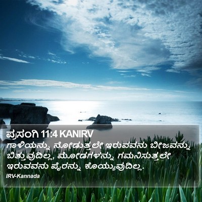 ಪ್ರಸಂಗಿ 11:4 KANIRV Bible Verse Image