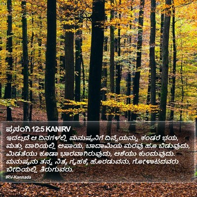 ಪ್ರಸಂಗಿ 12:5 KANIRV Bible Verse Image
