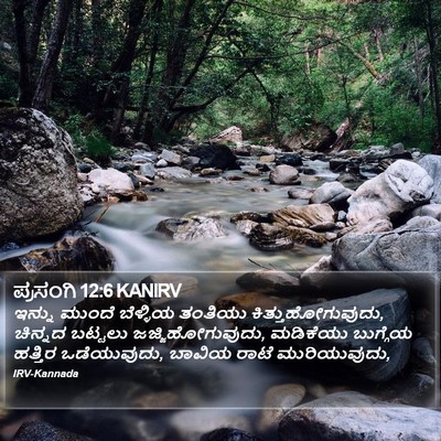 ಪ್ರಸಂಗಿ 12:6 KANIRV Bible Verse Image