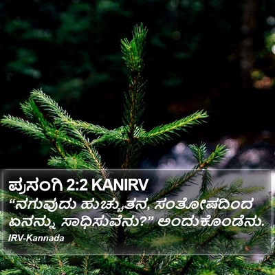 ಪ್ರಸಂಗಿ 2:2 KANIRV Bible Verse Image